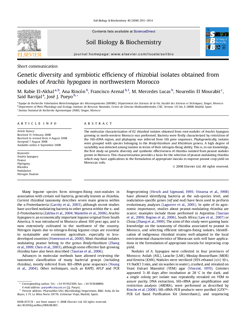 Genetic diversity and symbiotic efficiency of rhizobial isolates obtained from nodules of Arachis hypogaea in northwestern Morocco