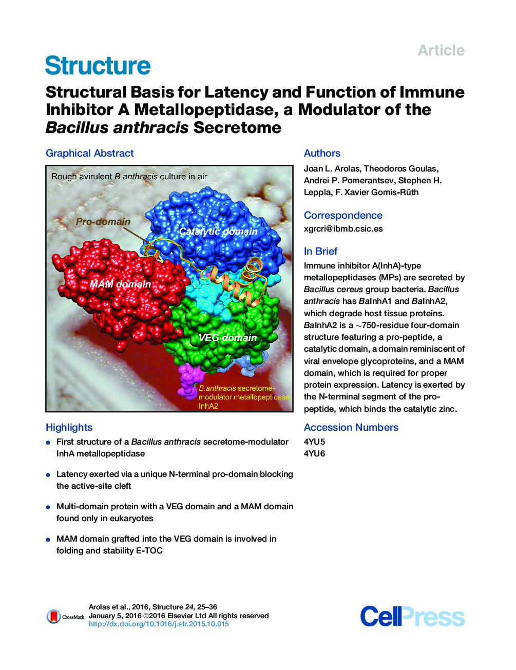 Structural Basis for Latency and Function of Immune Inhibitor A Metallopeptidase, a Modulator of the Bacillus anthracis Secretome