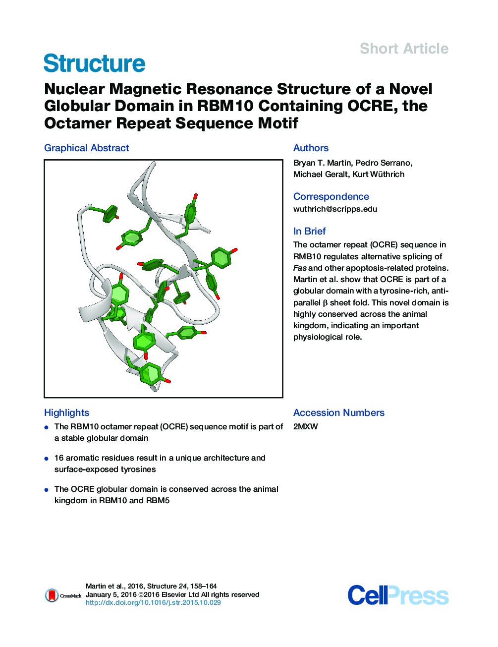 Nuclear Magnetic Resonance Structure of a Novel Globular Domain in RBM10 Containing OCRE, the Octamer Repeat Sequence Motif