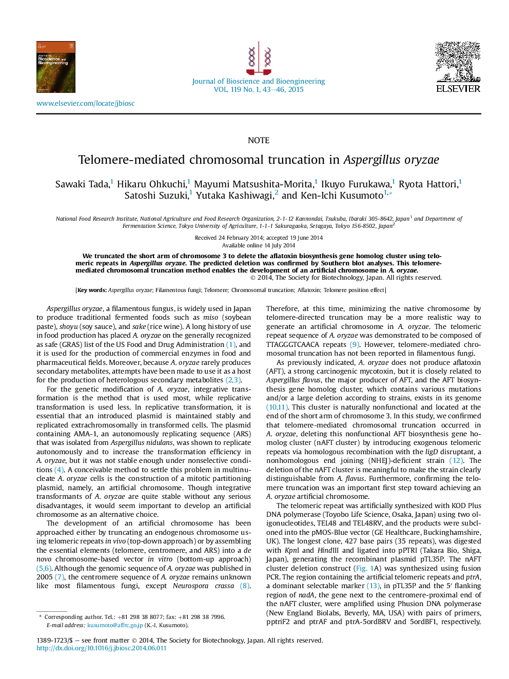Telomere-mediated chromosomal truncation in Aspergillus oryzae