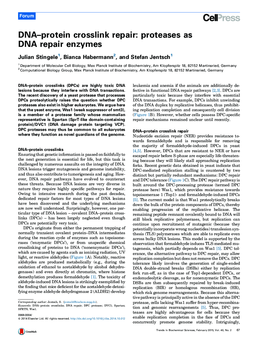 DNA–protein crosslink repair: proteases as DNA repair enzymes