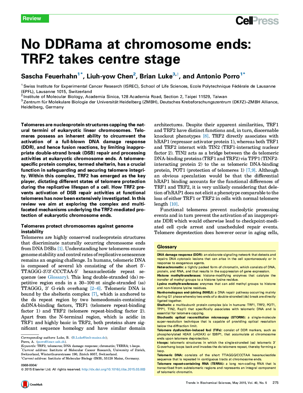 No DDRama at chromosome ends: TRF2 takes centre stage