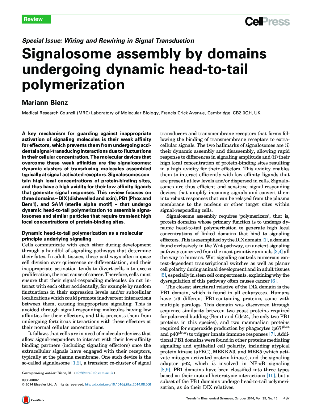 Signalosome assembly by domains undergoing dynamic head-to-tail polymerization
