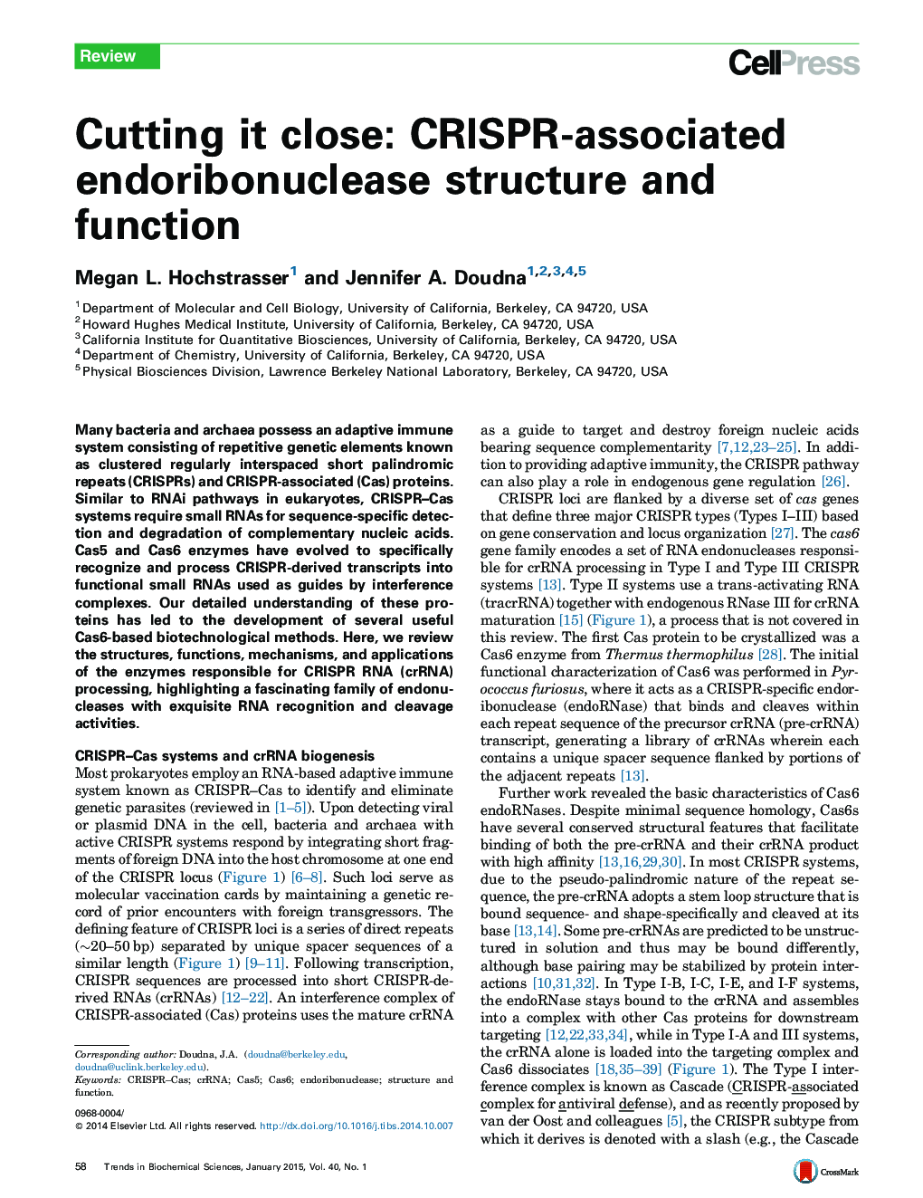 Cutting it close: CRISPR-associated endoribonuclease structure and function