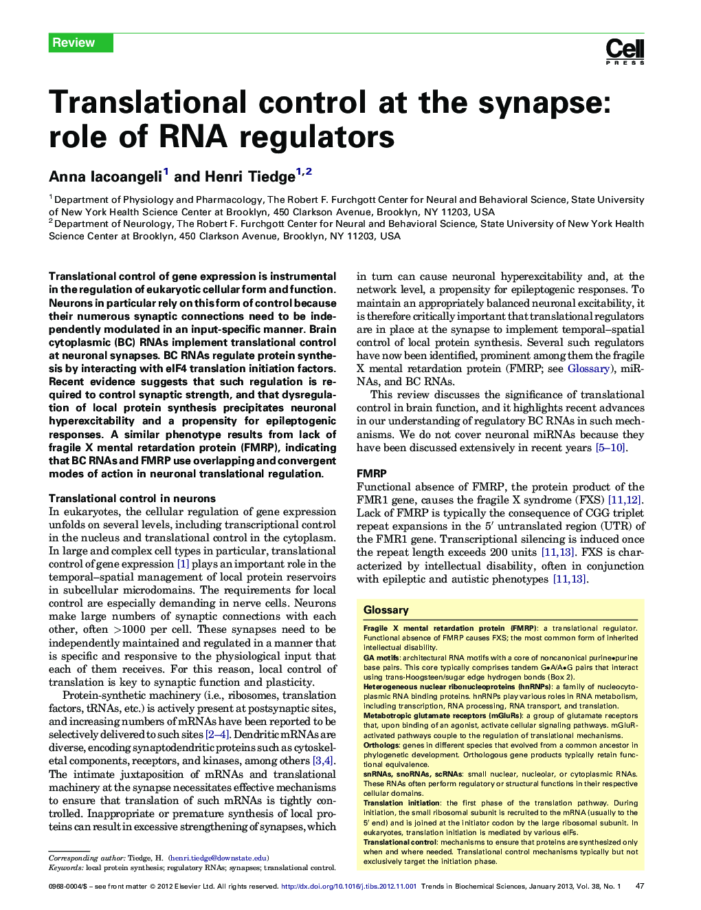 Translational control at the synapse: role of RNA regulators