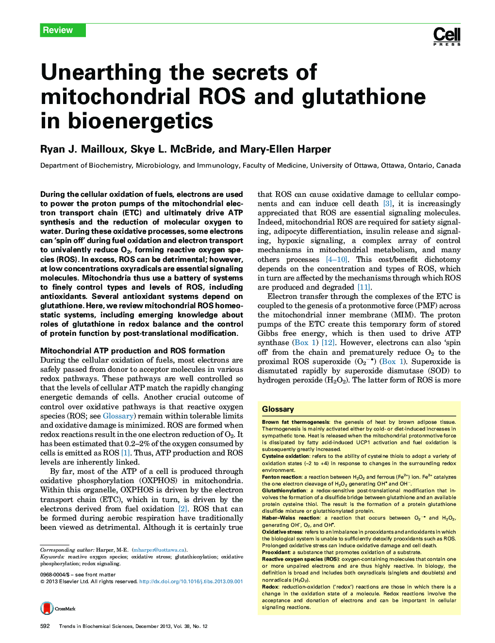 Unearthing the secrets of mitochondrial ROS and glutathione in bioenergetics