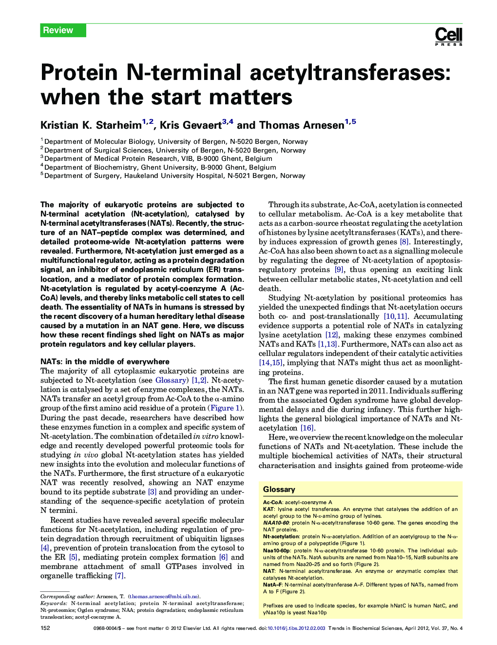 Protein N-terminal acetyltransferases: when the start matters