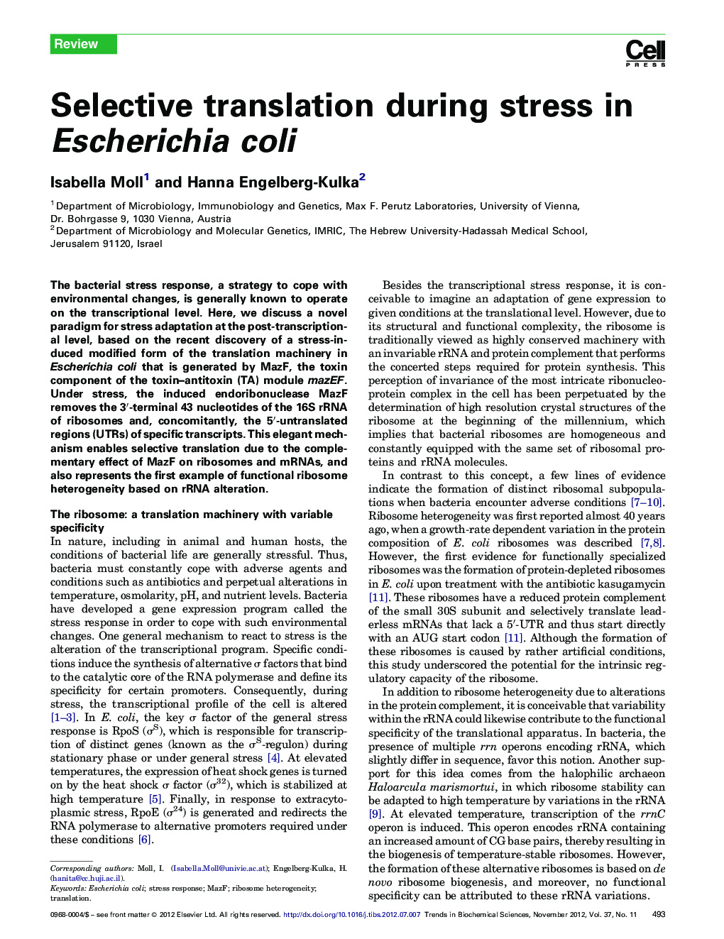 Selective translation during stress in Escherichia coli