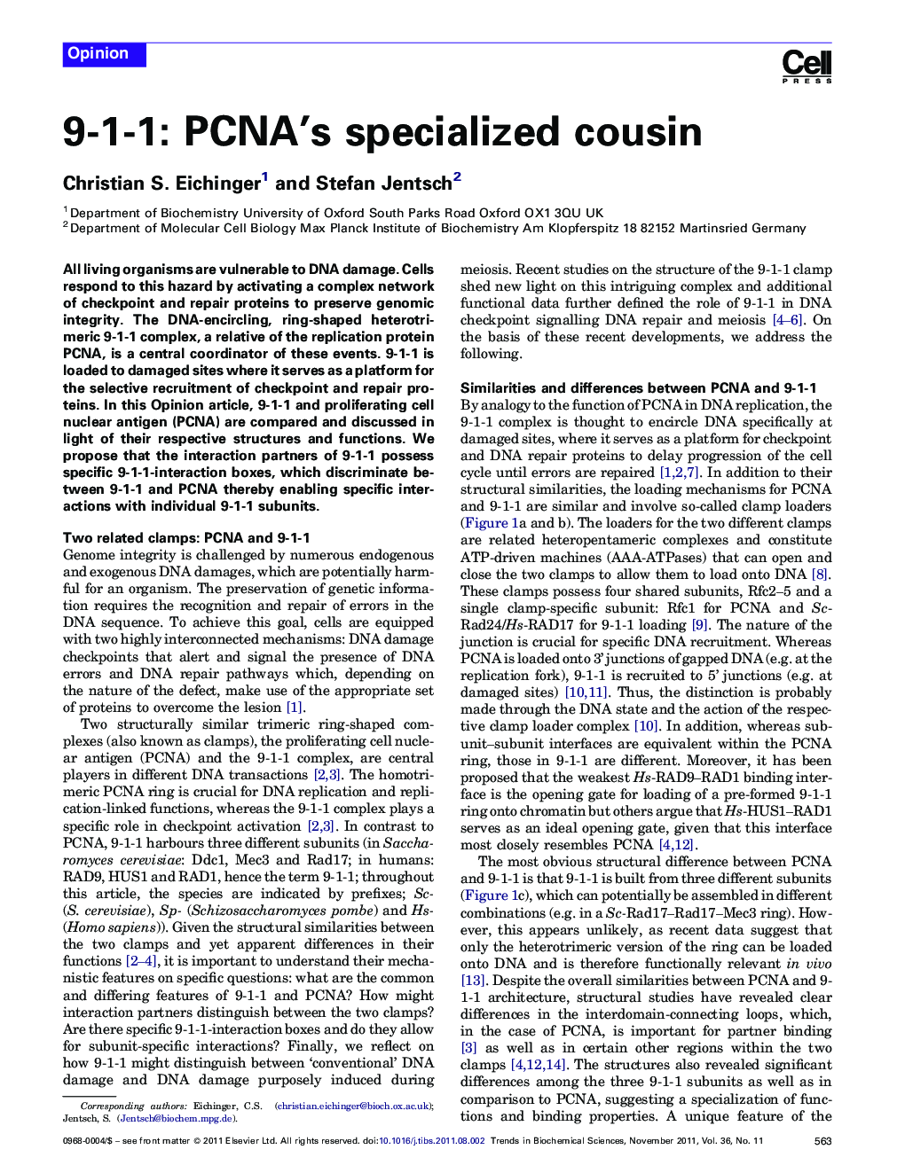 9-1-1: PCNA's specialized cousin