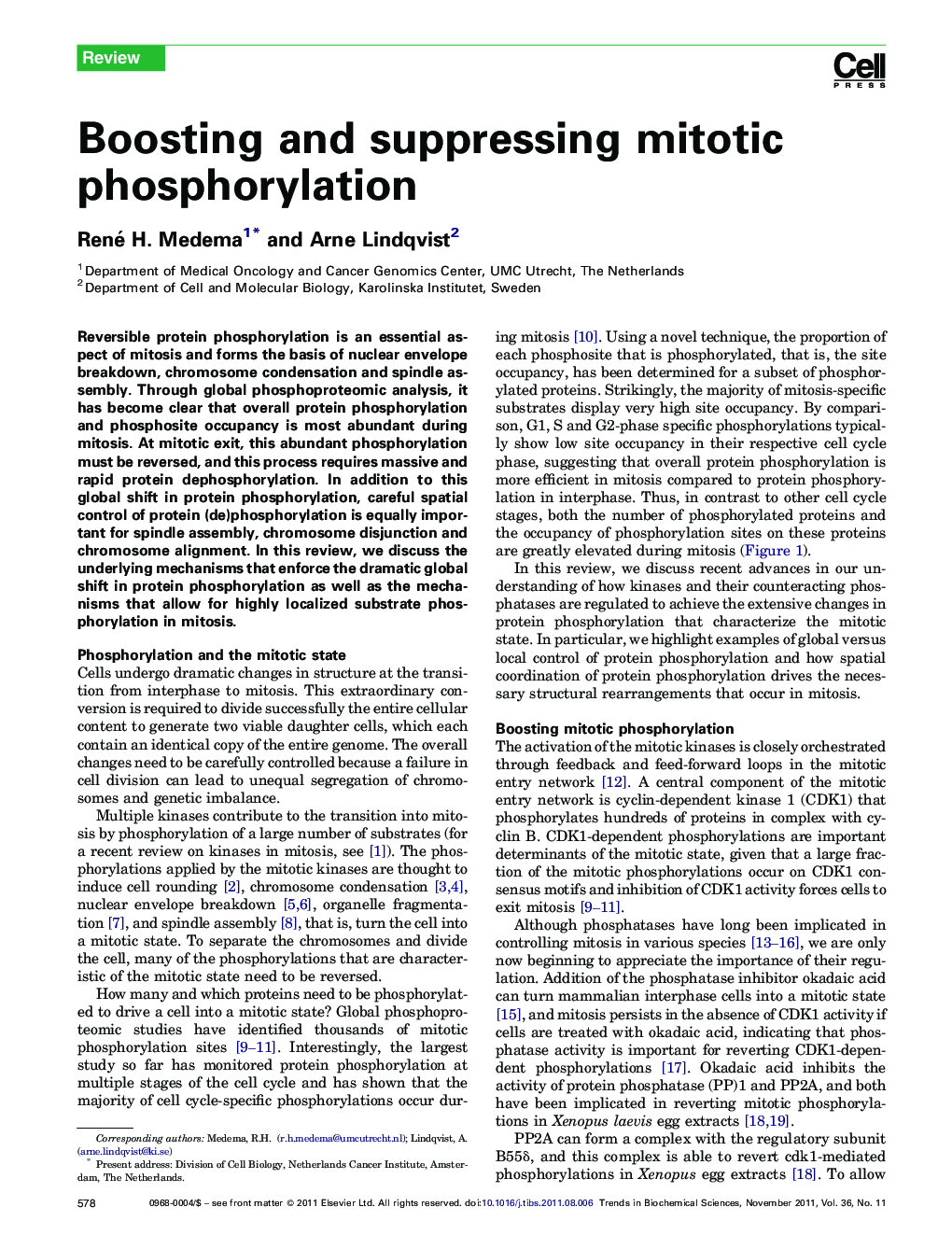 Boosting and suppressing mitotic phosphorylation