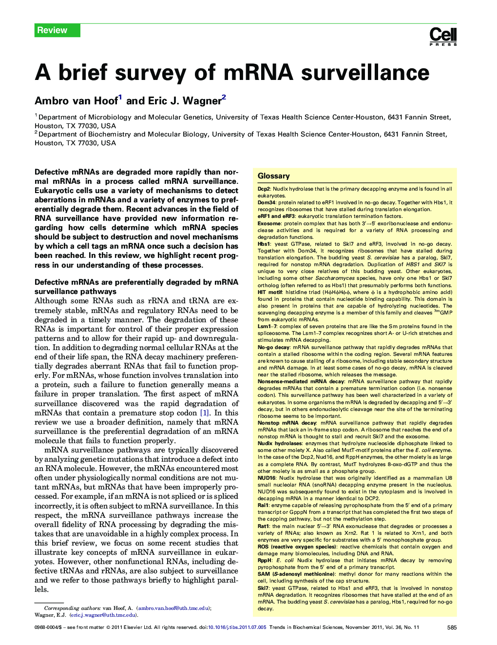 A brief survey of mRNA surveillance