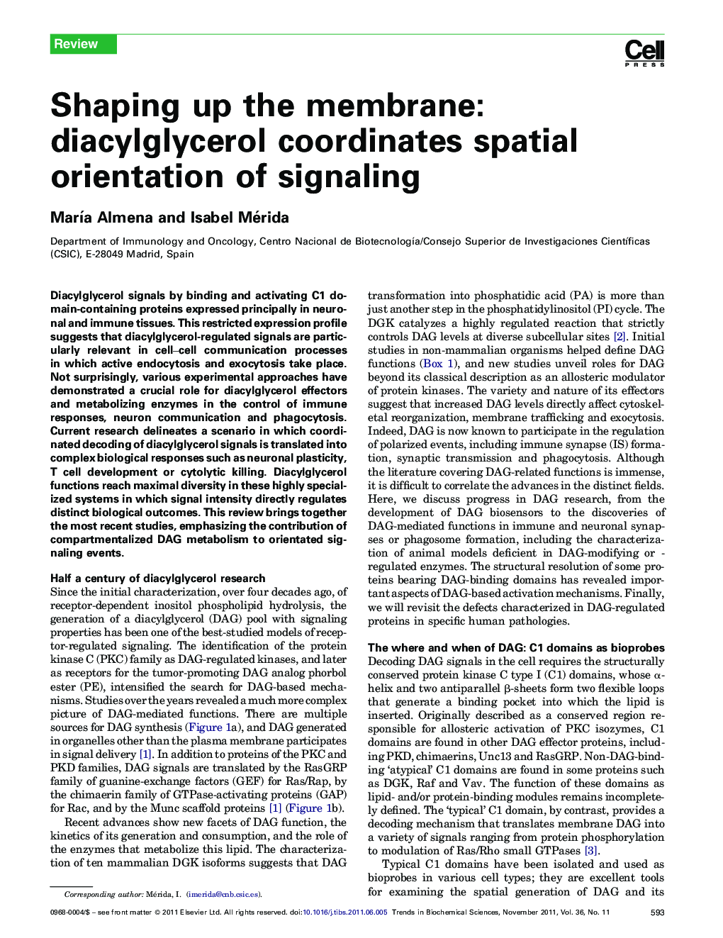 Shaping up the membrane: diacylglycerol coordinates spatial orientation of signaling