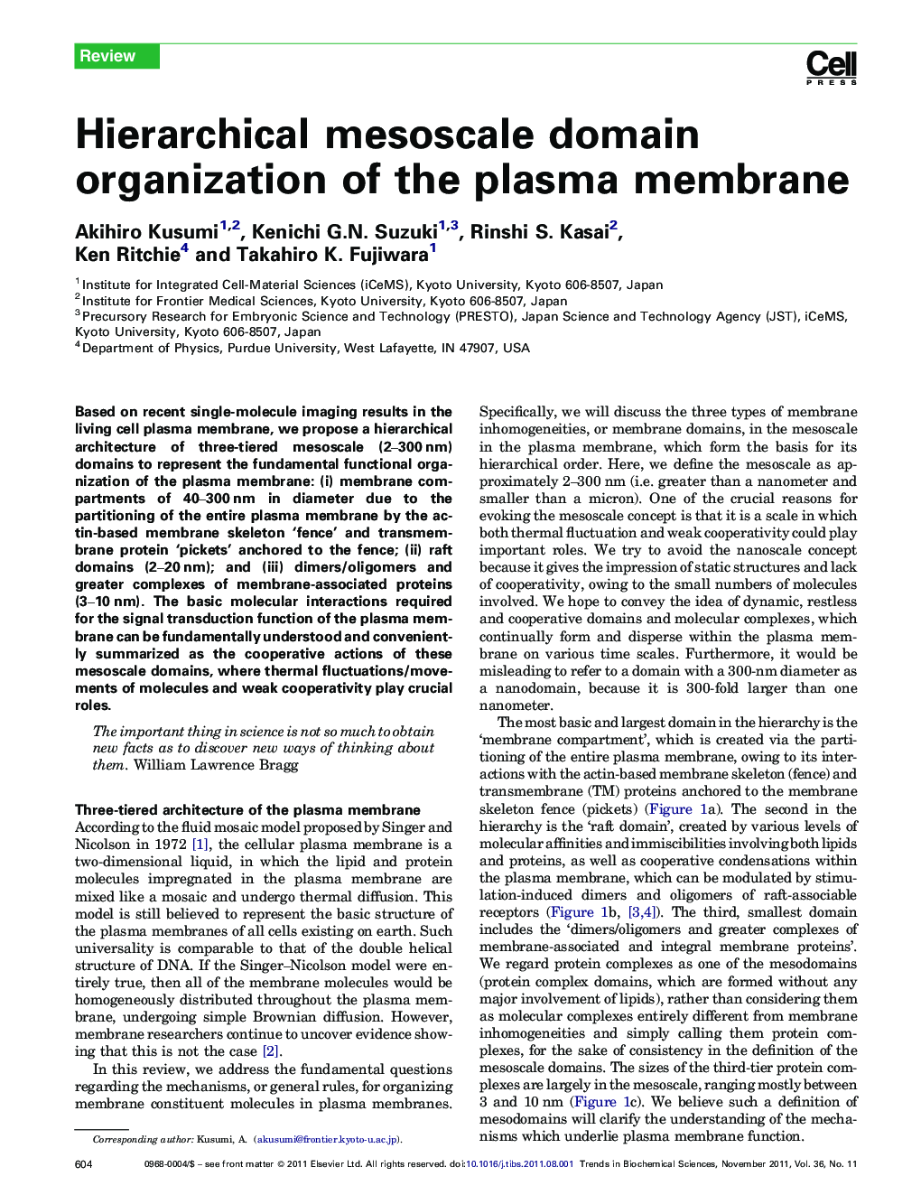 Hierarchical mesoscale domain organization of the plasma membrane