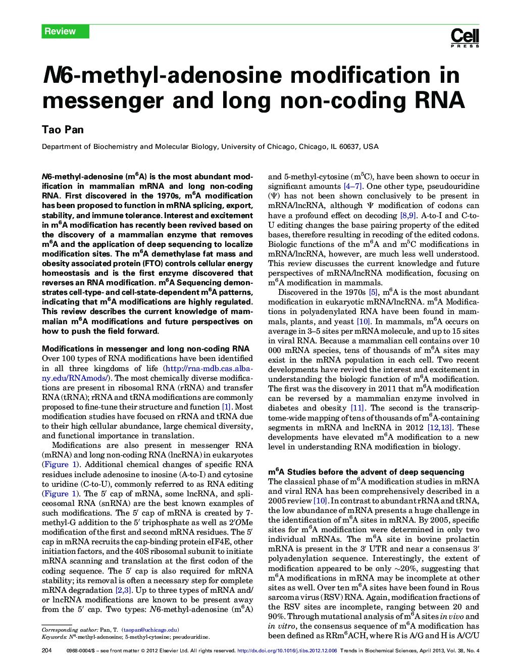 N6-methyl-adenosine modification in messenger and long non-coding RNA