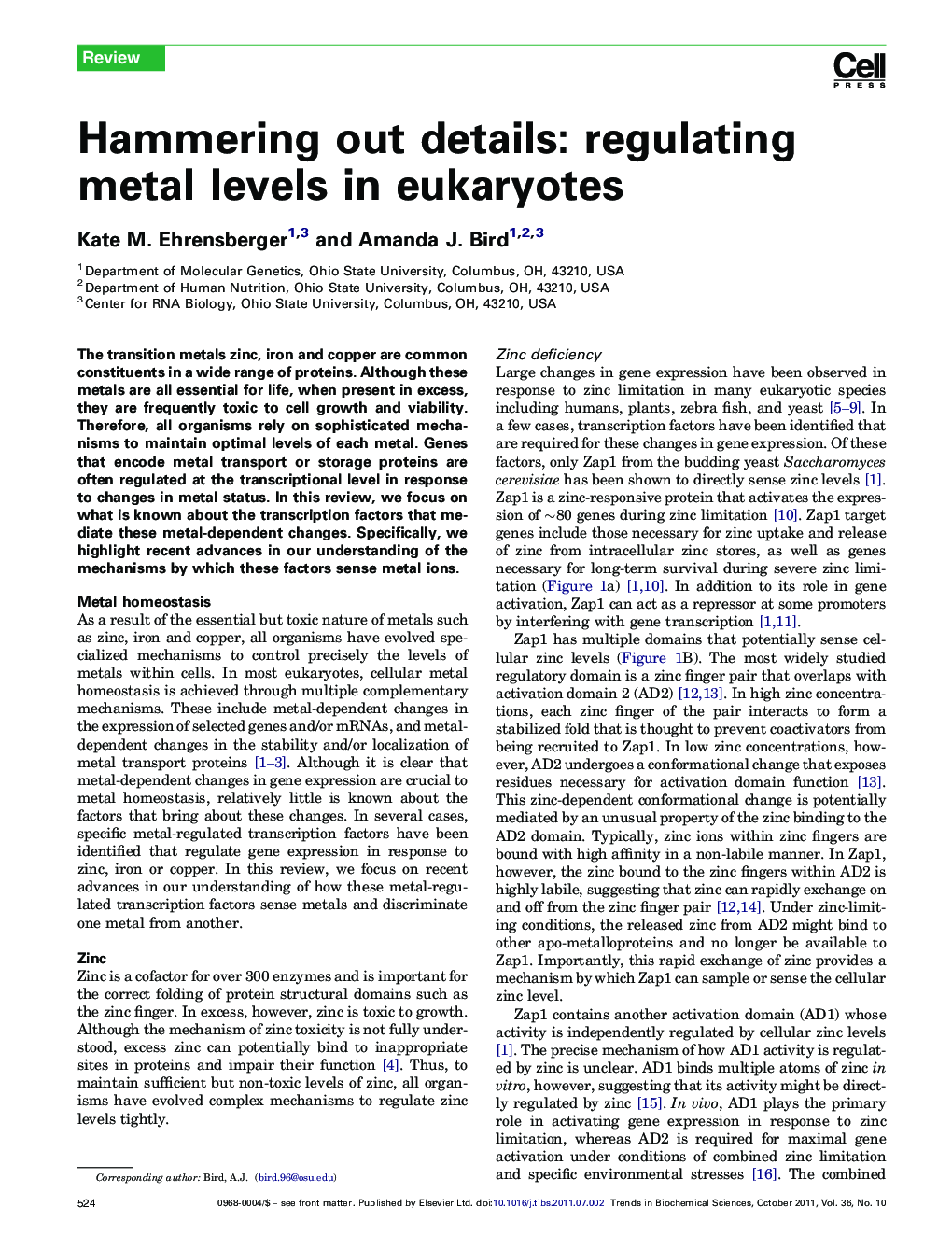 Hammering out details: regulating metal levels in eukaryotes
