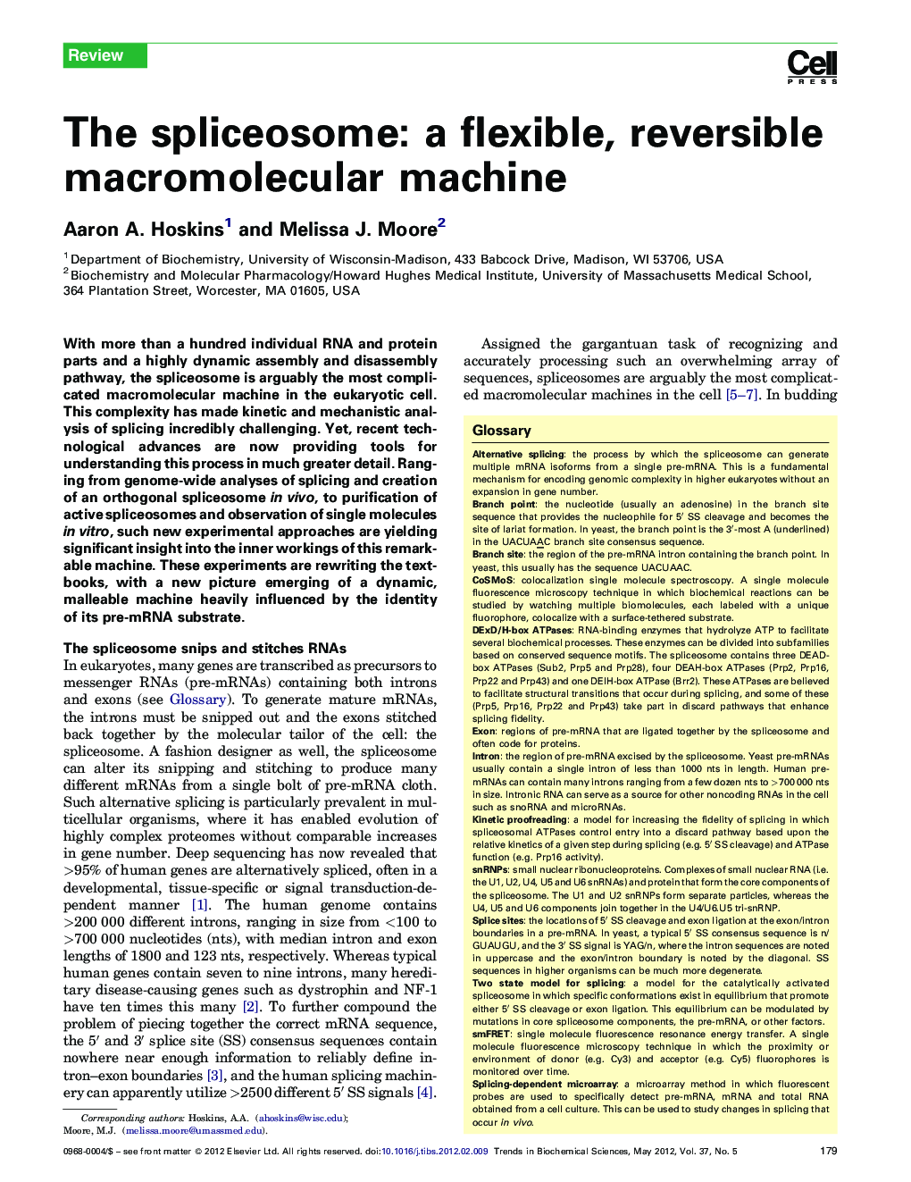 The spliceosome: a flexible, reversible macromolecular machine