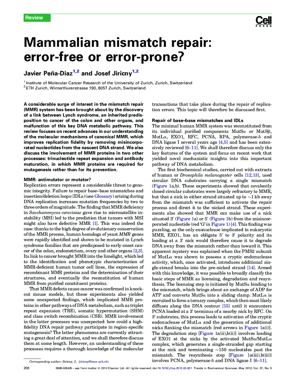 Mammalian mismatch repair: error-free or error-prone?