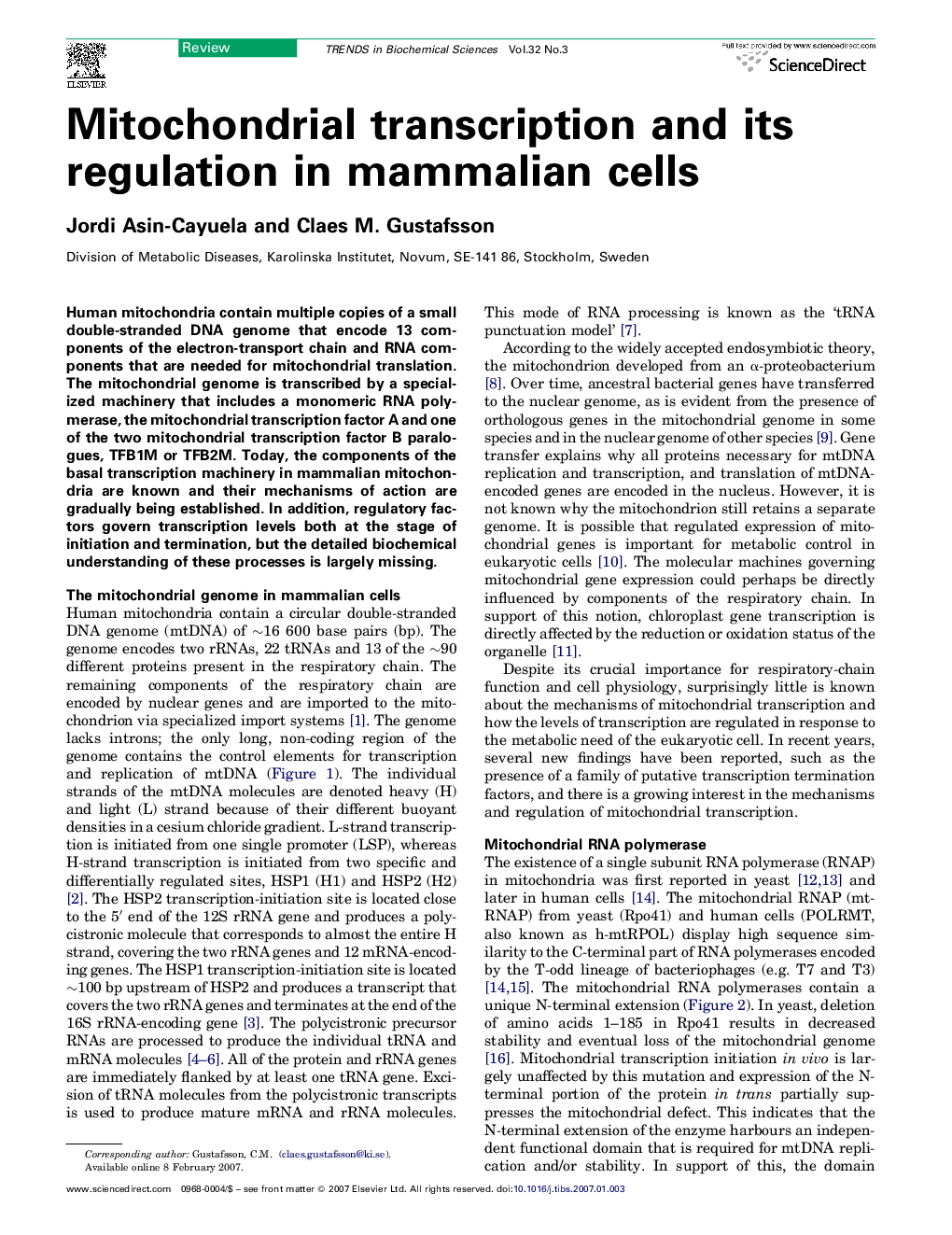 Mitochondrial transcription and its regulation in mammalian cells