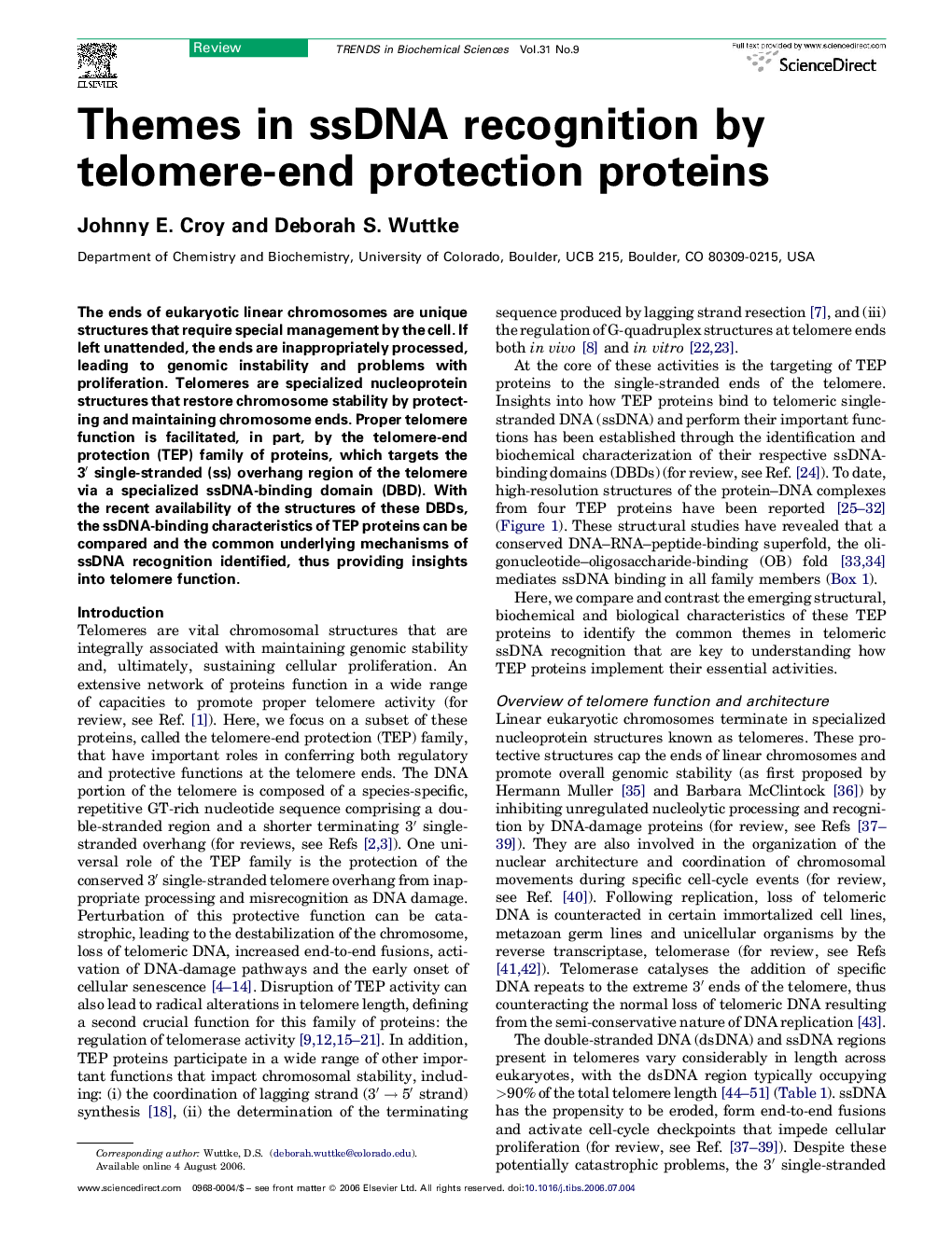 Themes in ssDNA recognition by telomere-end protection proteins