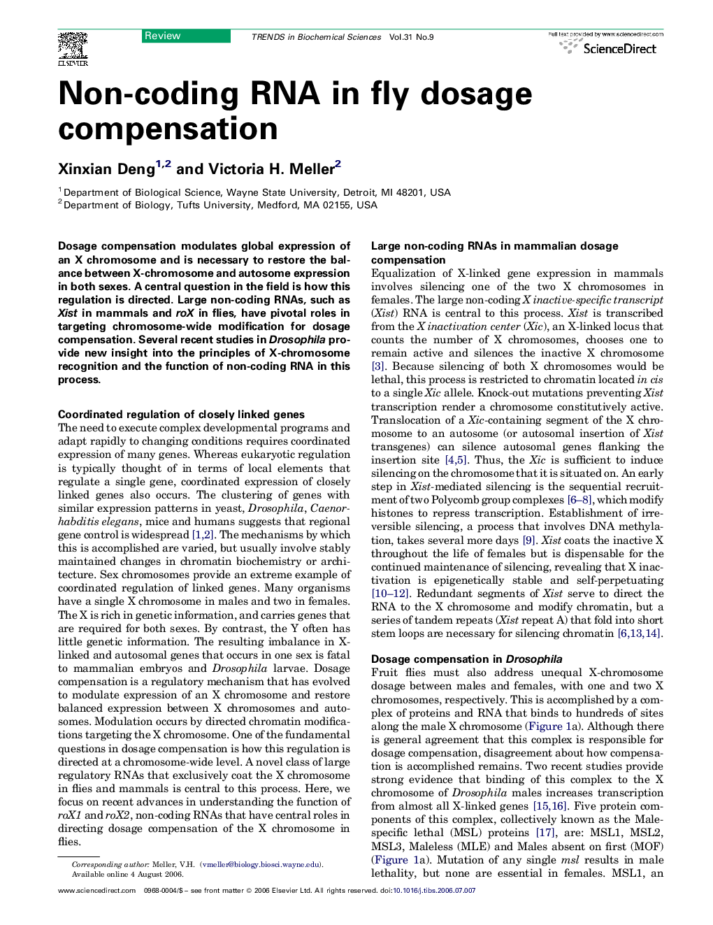 Non-coding RNA in fly dosage compensation