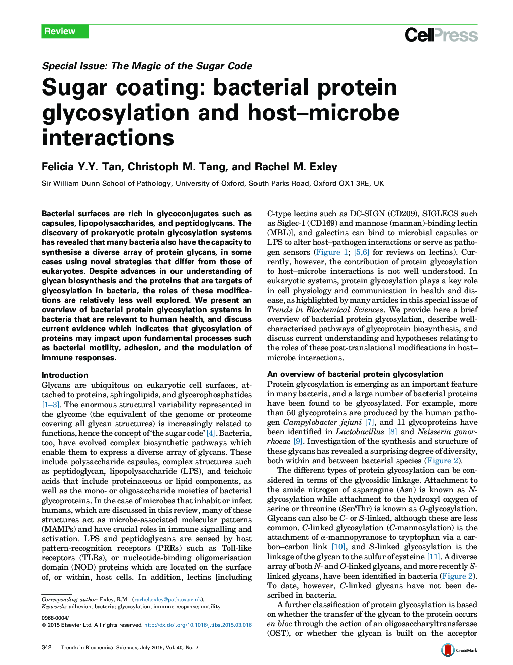 Sugar coating: bacterial protein glycosylation and host–microbe interactions