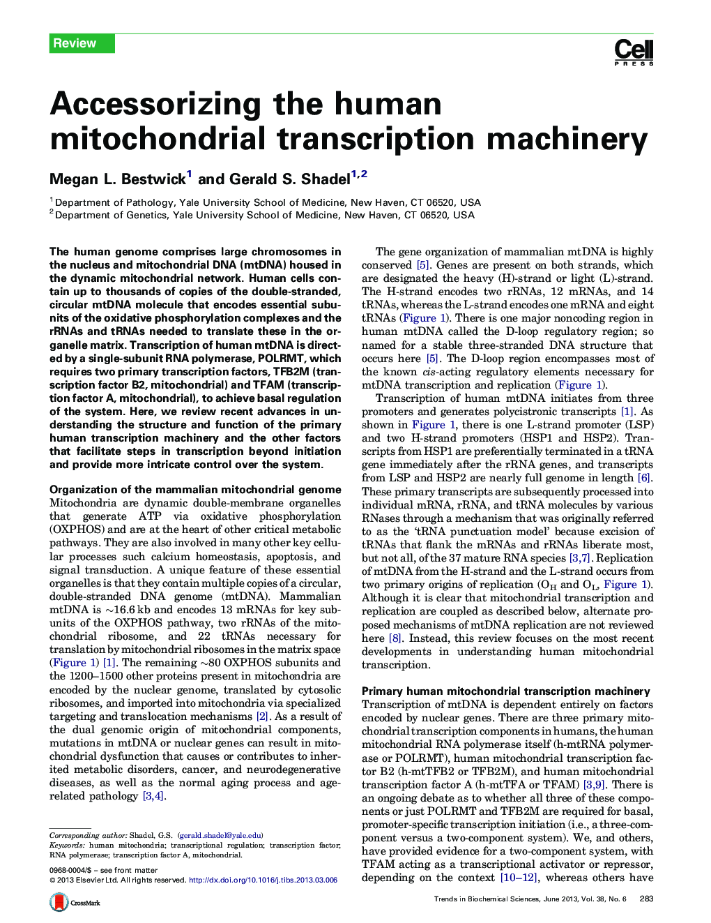 Accessorizing the human mitochondrial transcription machinery