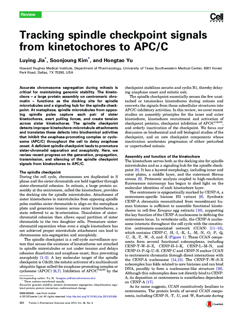 Tracking spindle checkpoint signals from kinetochores to APC/C