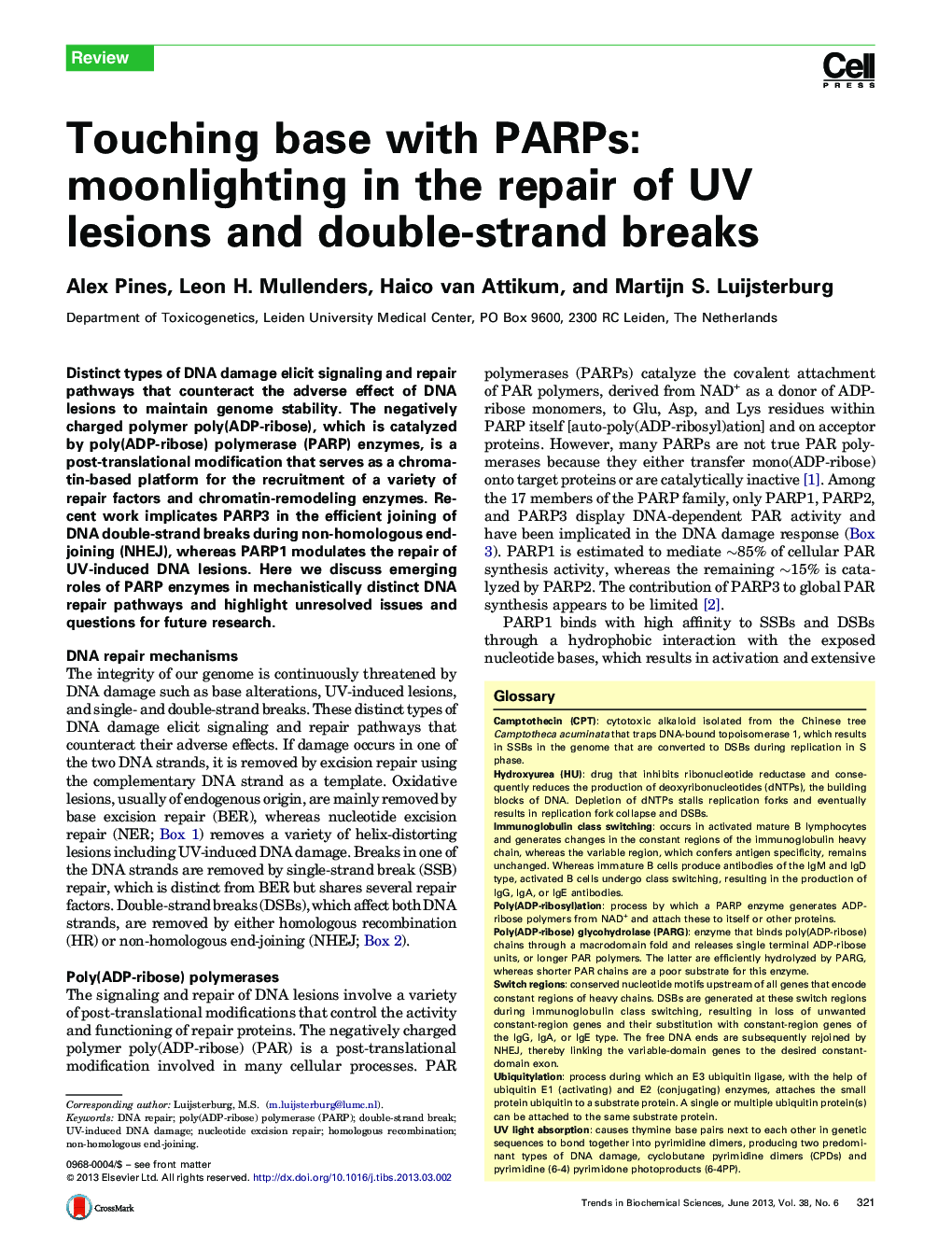 Touching base with PARPs: moonlighting in the repair of UV lesions and double-strand breaks