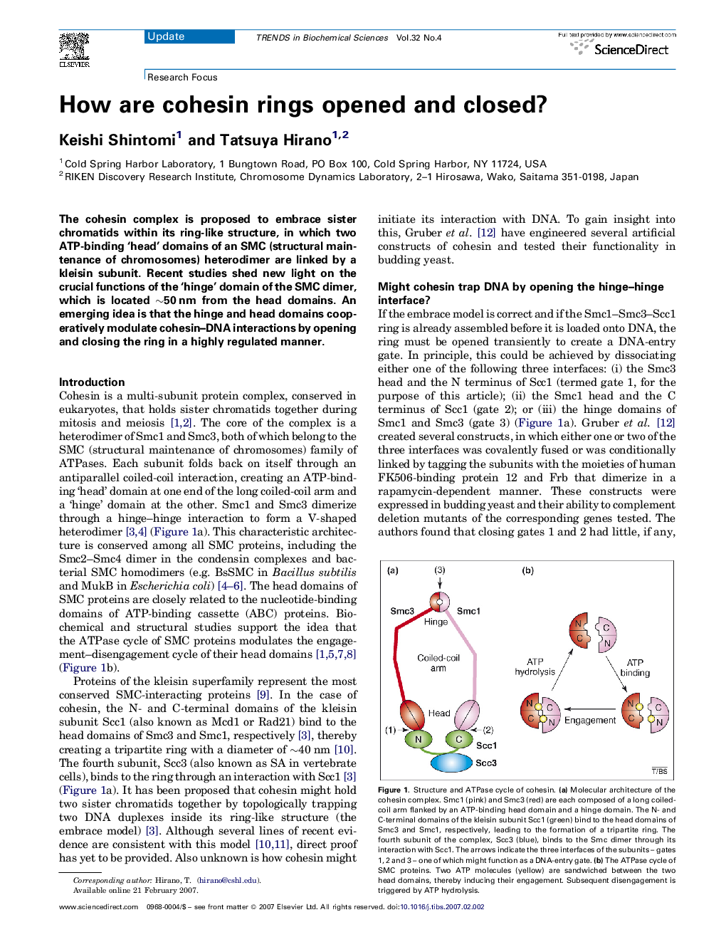 How are cohesin rings opened and closed?