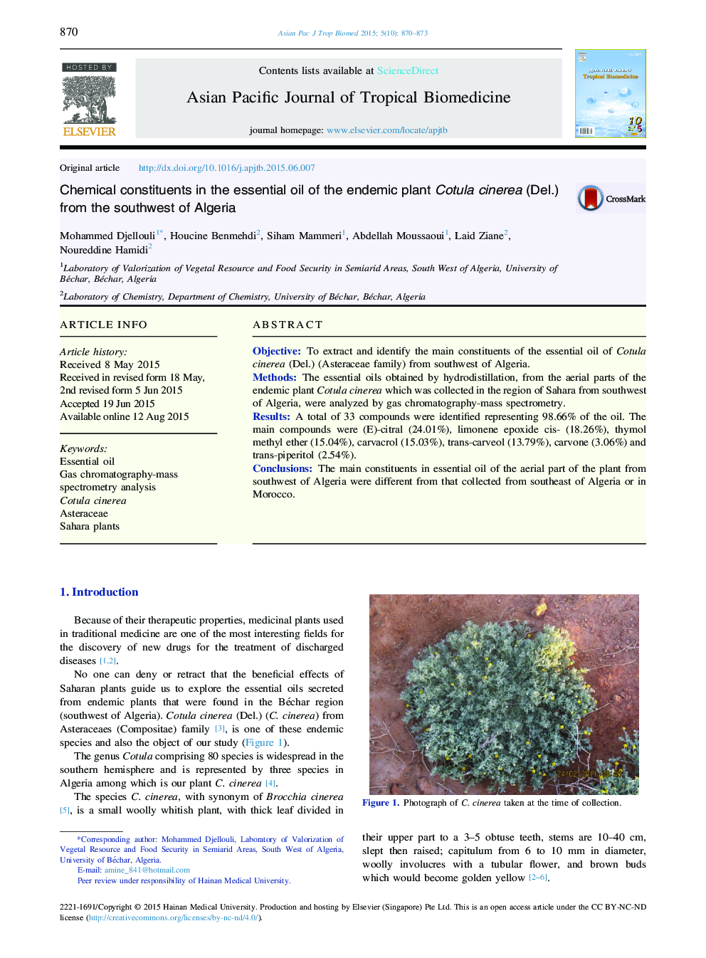 Chemical constituents in the essential oil of the endemic plant Cotula cinerea (Del.) from the southwest of Algeria 