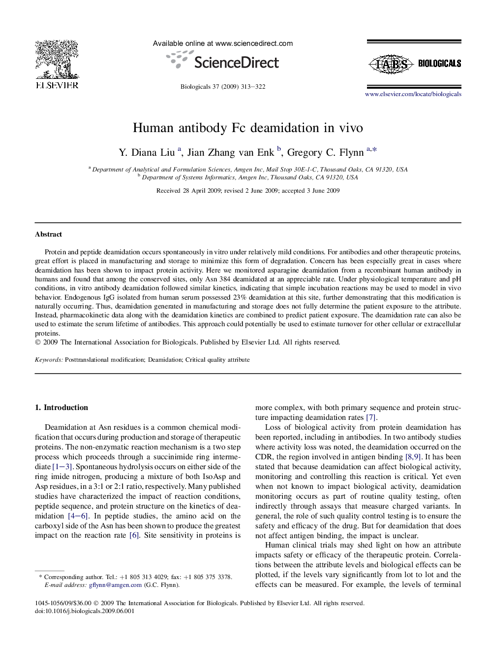 Human antibody Fc deamidation in vivo