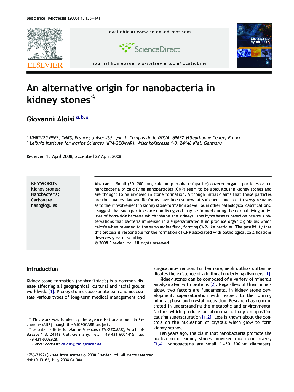 An alternative origin for nanobacteria in kidney stones 