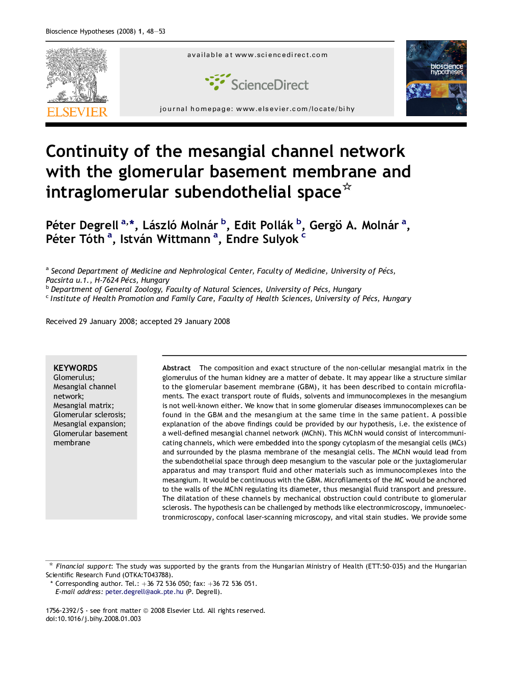 Continuity of the mesangial channel network with the glomerular basement membrane and intraglomerular subendothelial space 