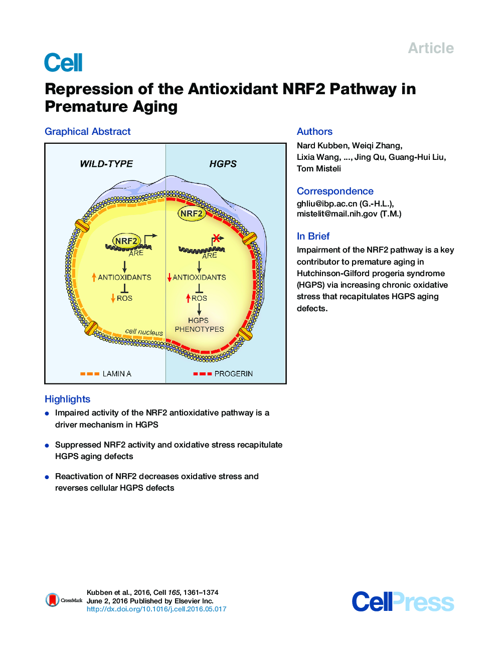 Repression of the Antioxidant NRF2 Pathway in Premature Aging