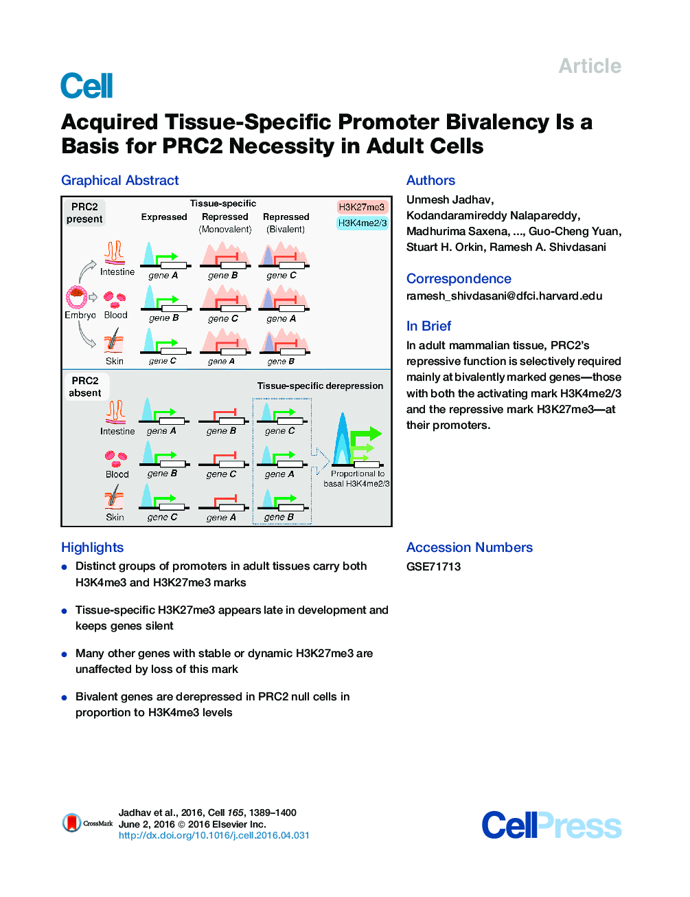 Acquired Tissue-Specific Promoter Bivalency Is a Basis for PRC2 Necessity in Adult Cells