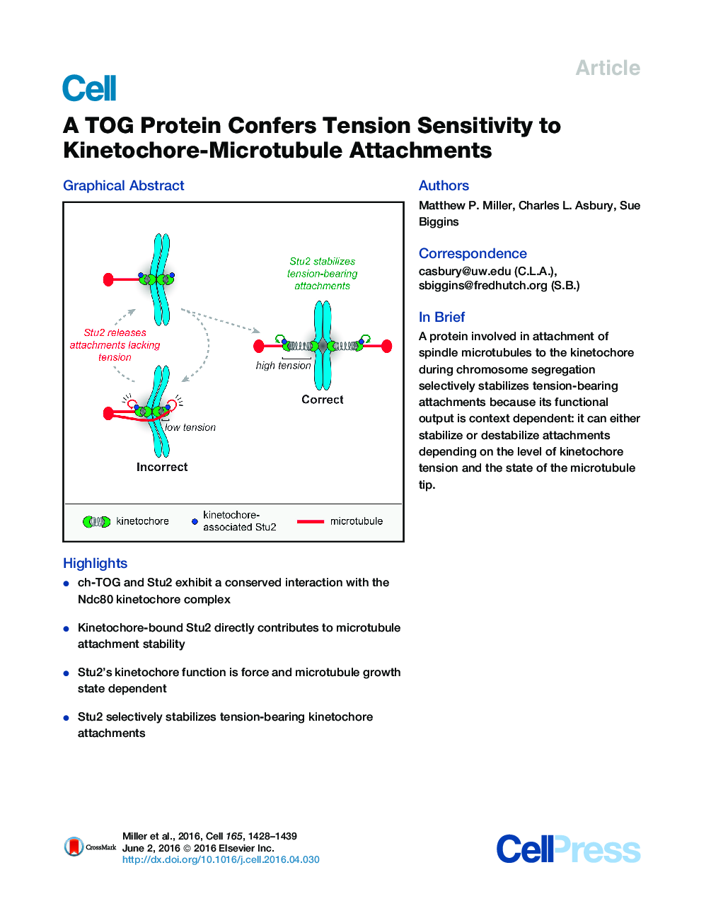 A TOG Protein Confers Tension Sensitivity to Kinetochore-Microtubule Attachments