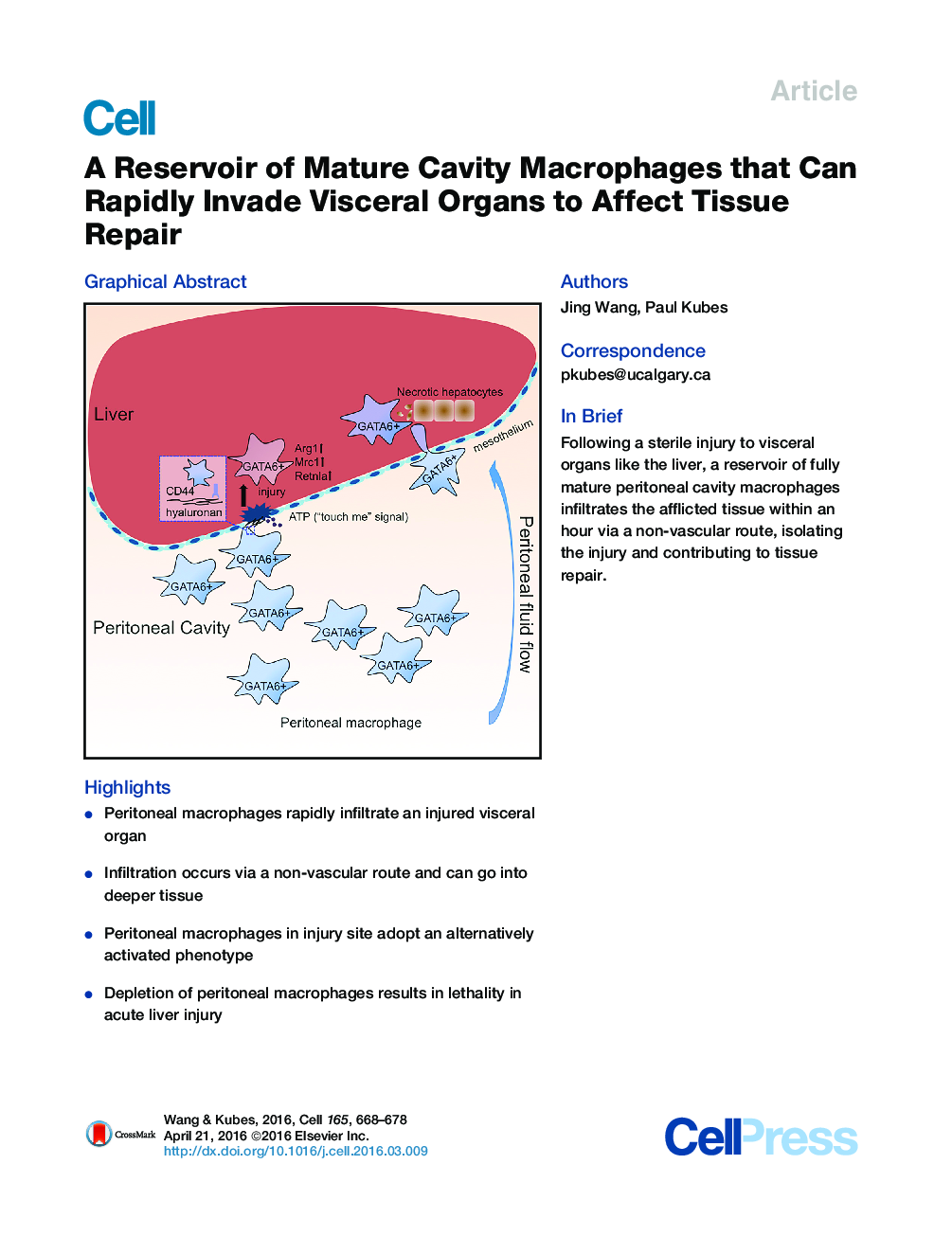 A Reservoir of Mature Cavity Macrophages that Can Rapidly Invade Visceral Organs to Affect Tissue Repair