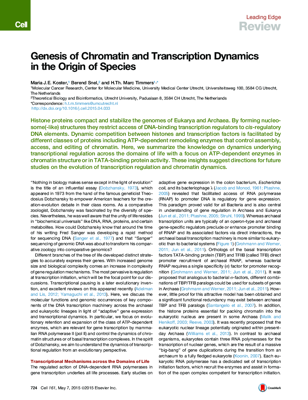 Genesis of Chromatin and Transcription Dynamics in the Origin of Species