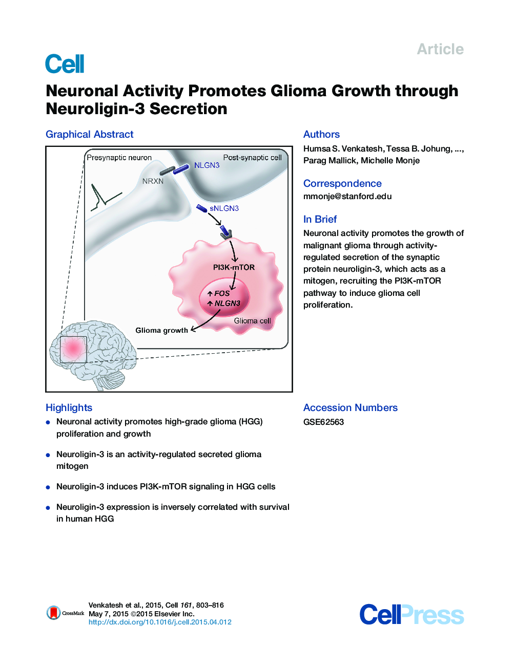 Neuronal Activity Promotes Glioma Growth through Neuroligin-3 Secretion