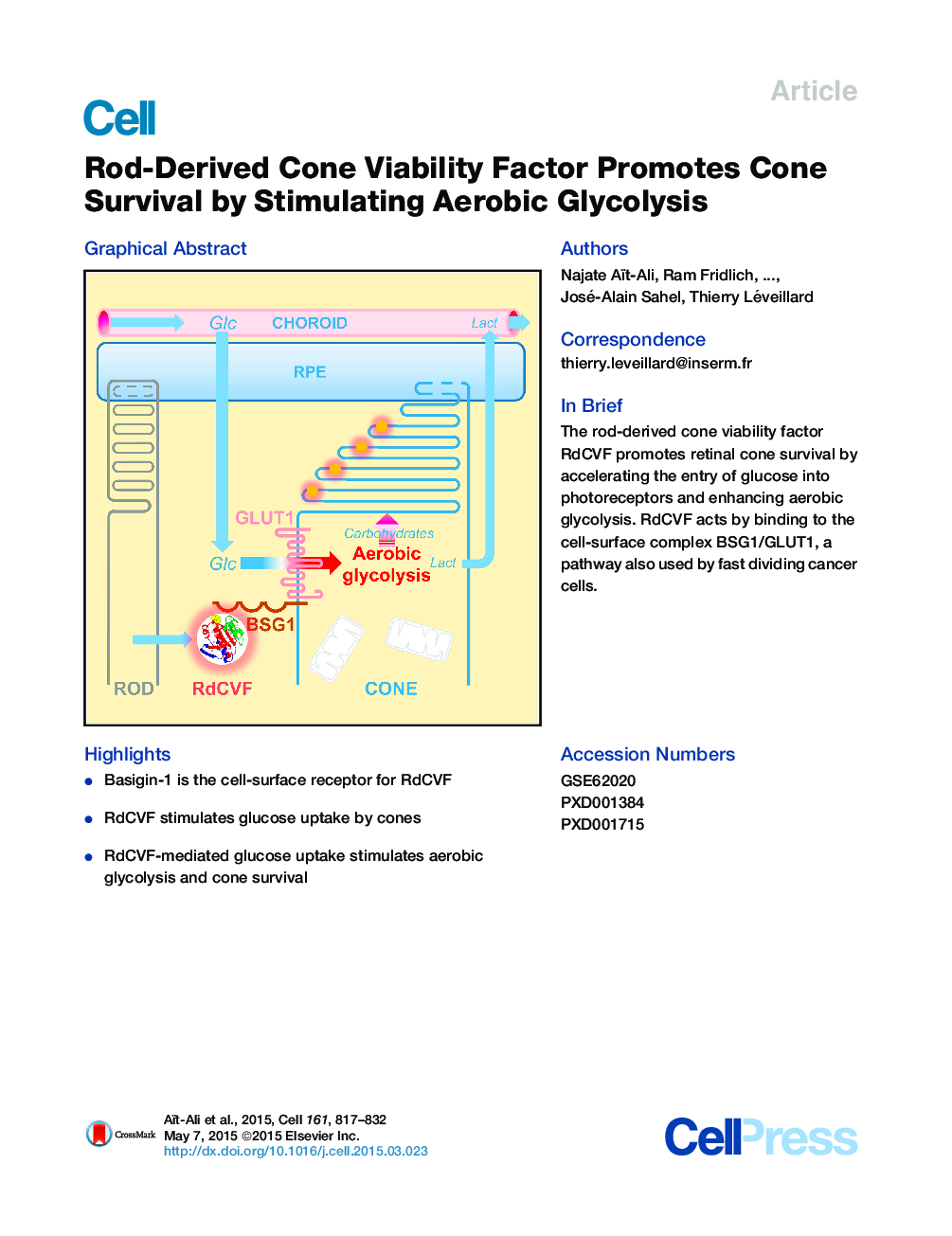 Rod-Derived Cone Viability Factor Promotes Cone Survival by Stimulating Aerobic Glycolysis