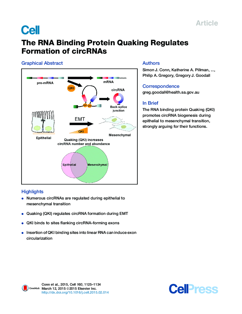 The RNA Binding Protein Quaking Regulates Formation of circRNAs