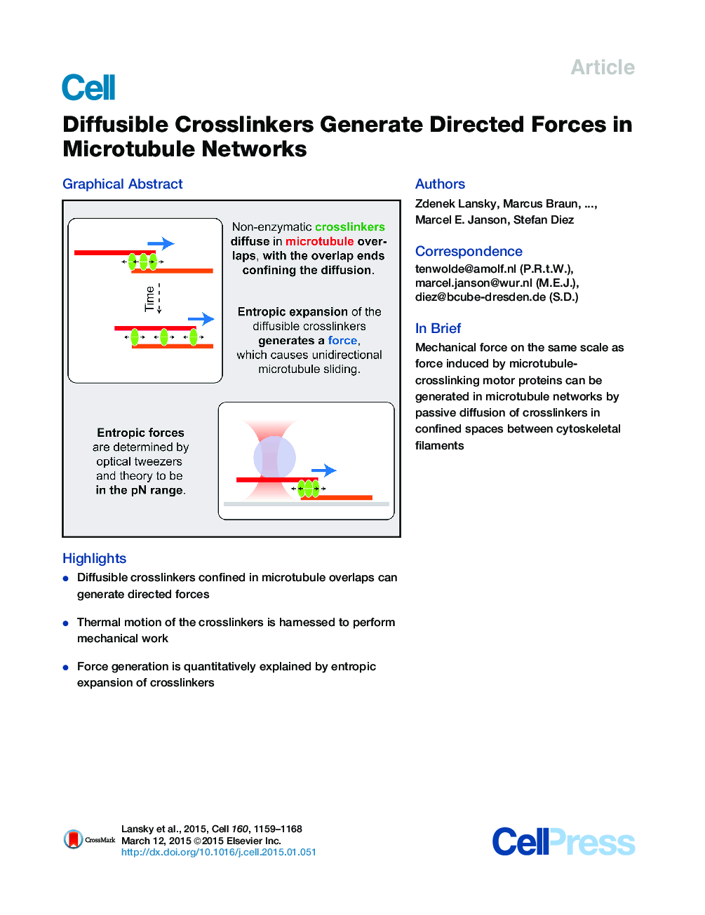 Diffusible Crosslinkers Generate Directed Forces in Microtubule Networks