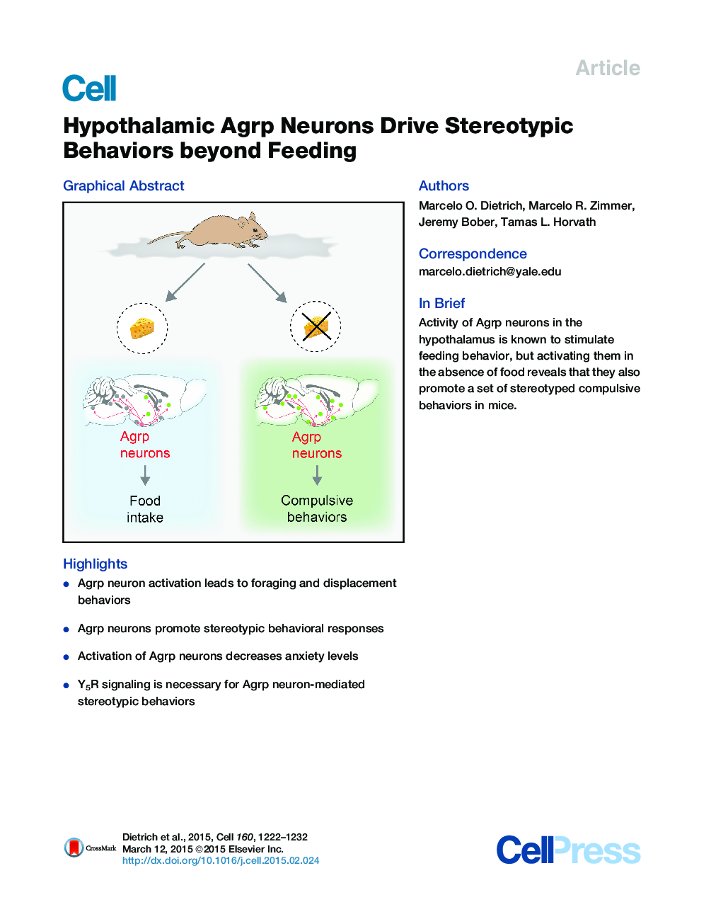 Hypothalamic Agrp Neurons Drive Stereotypic Behaviors beyond Feeding