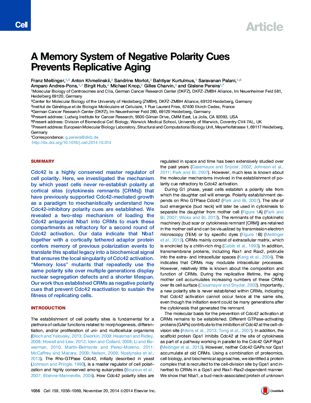 A Memory System of Negative Polarity Cues Prevents Replicative Aging