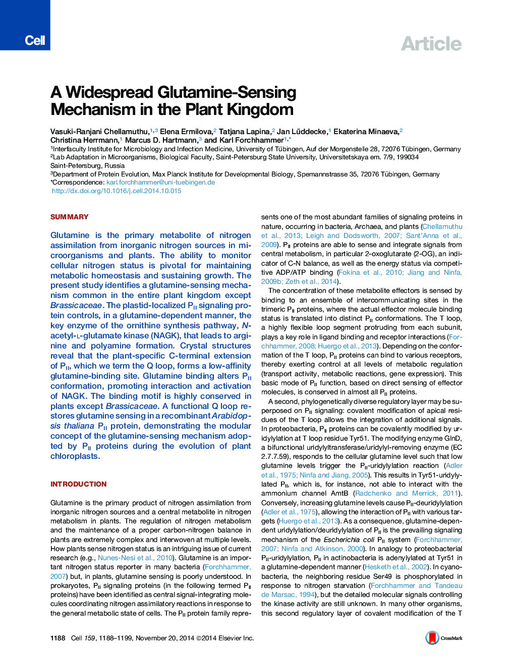 A Widespread Glutamine-Sensing Mechanism in the Plant Kingdom