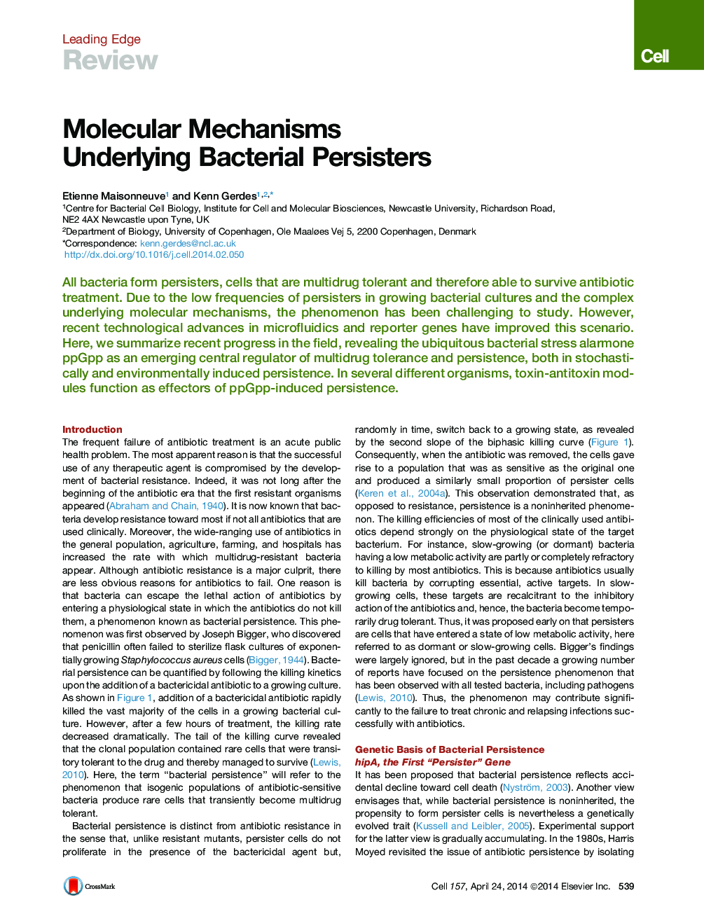 Molecular Mechanisms Underlying Bacterial Persisters