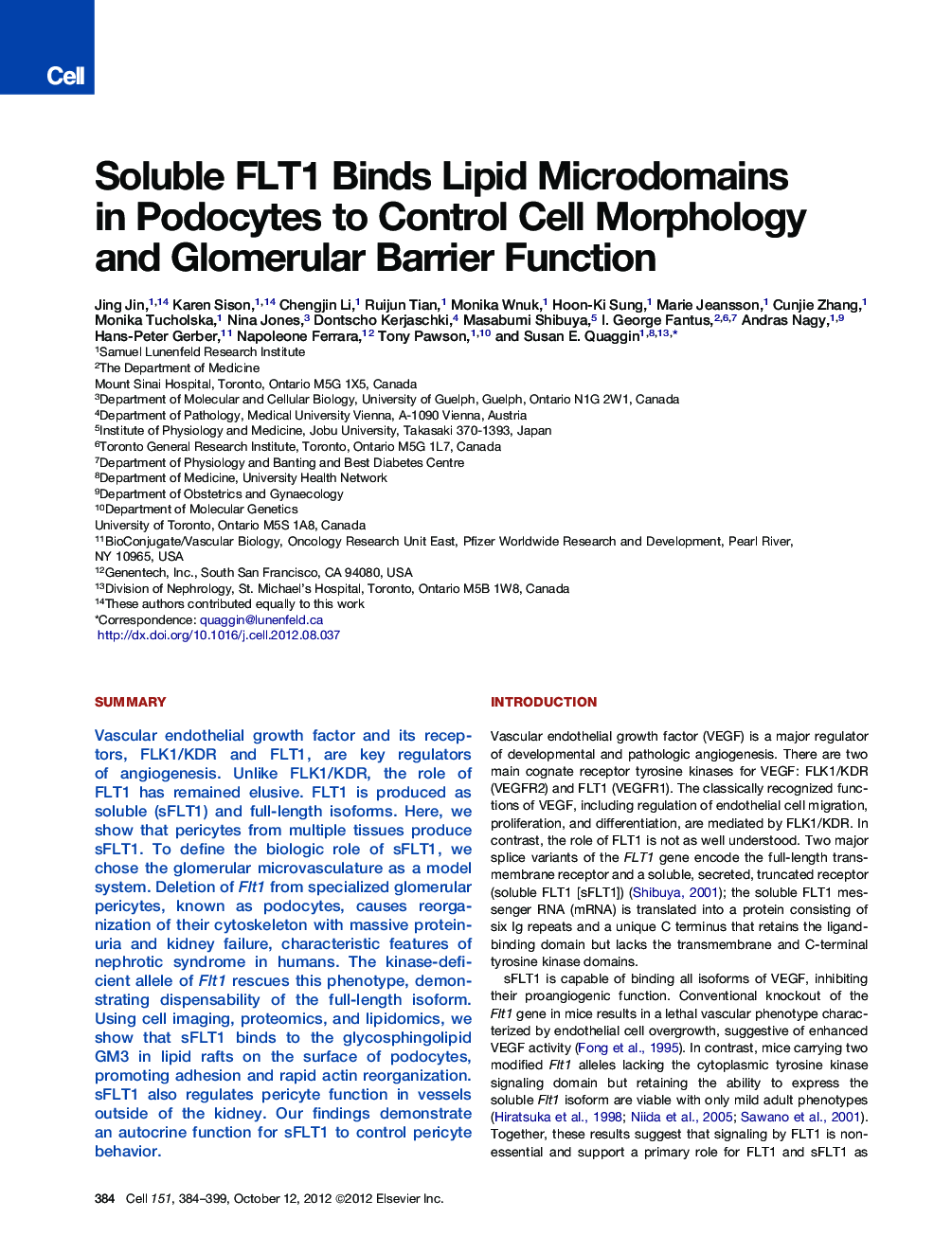 Soluble FLT1 Binds Lipid Microdomains in Podocytes to Control Cell Morphology and Glomerular Barrier Function