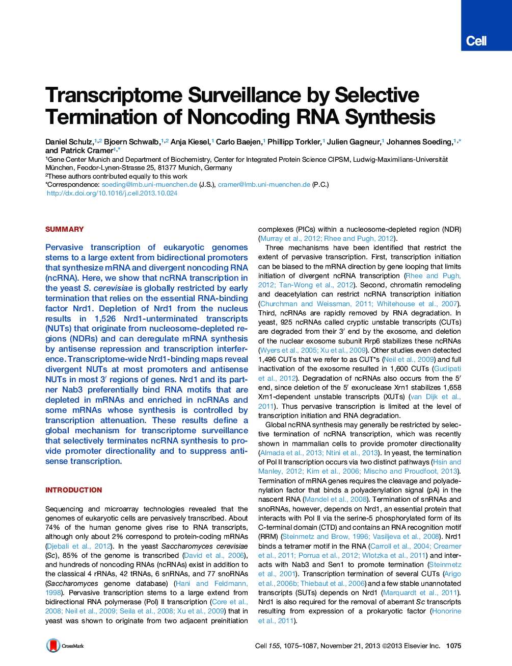 Transcriptome Surveillance by Selective Termination of Noncoding RNA Synthesis