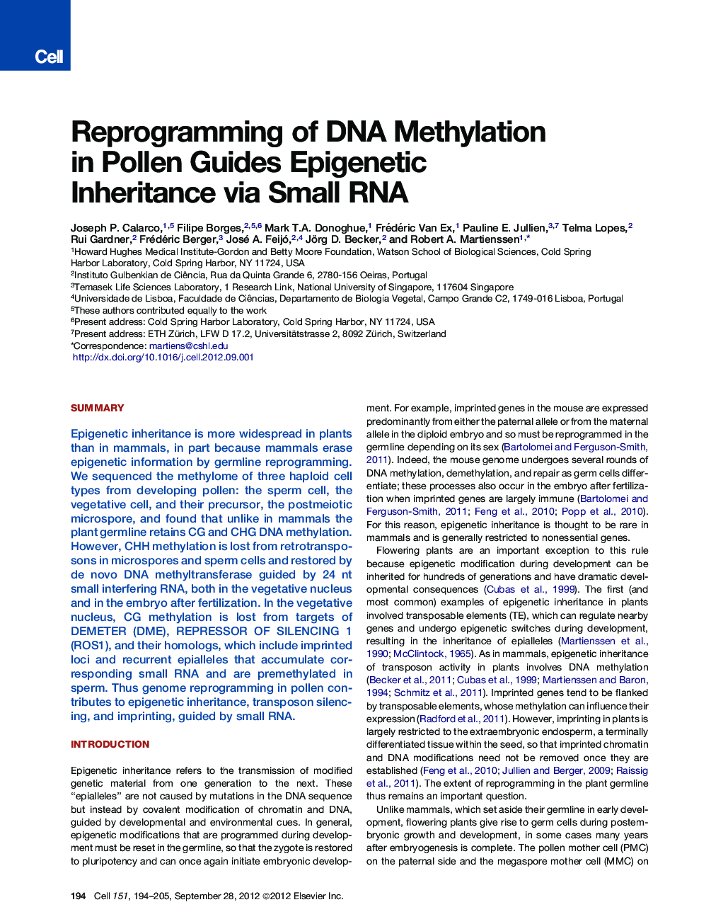 Reprogramming of DNA Methylation in Pollen Guides Epigenetic Inheritance via Small RNA