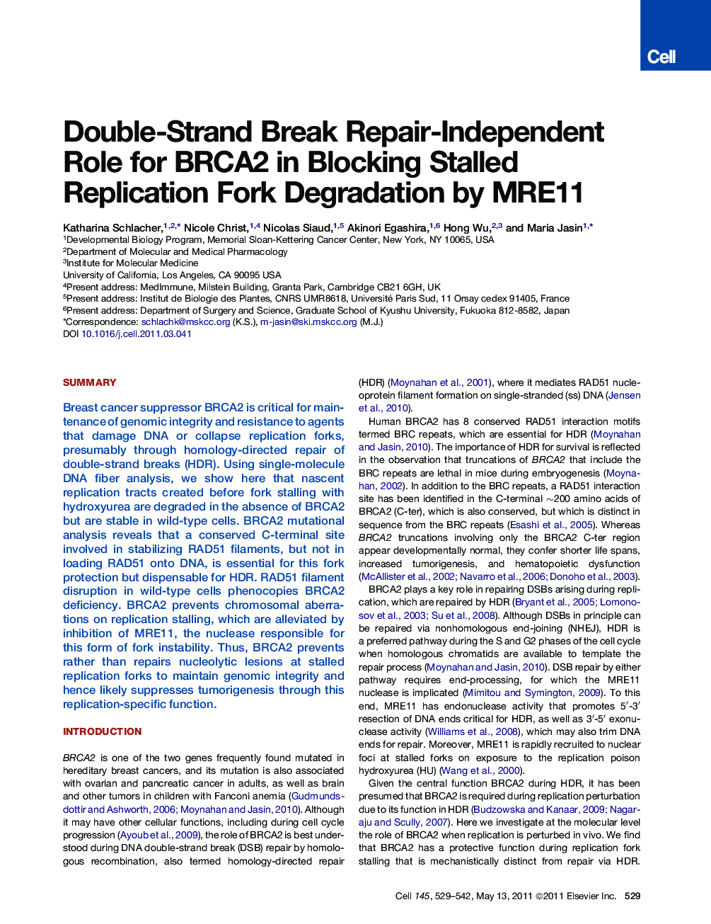Double-Strand Break Repair-Independent Role for BRCA2 in Blocking Stalled Replication Fork Degradation by MRE11